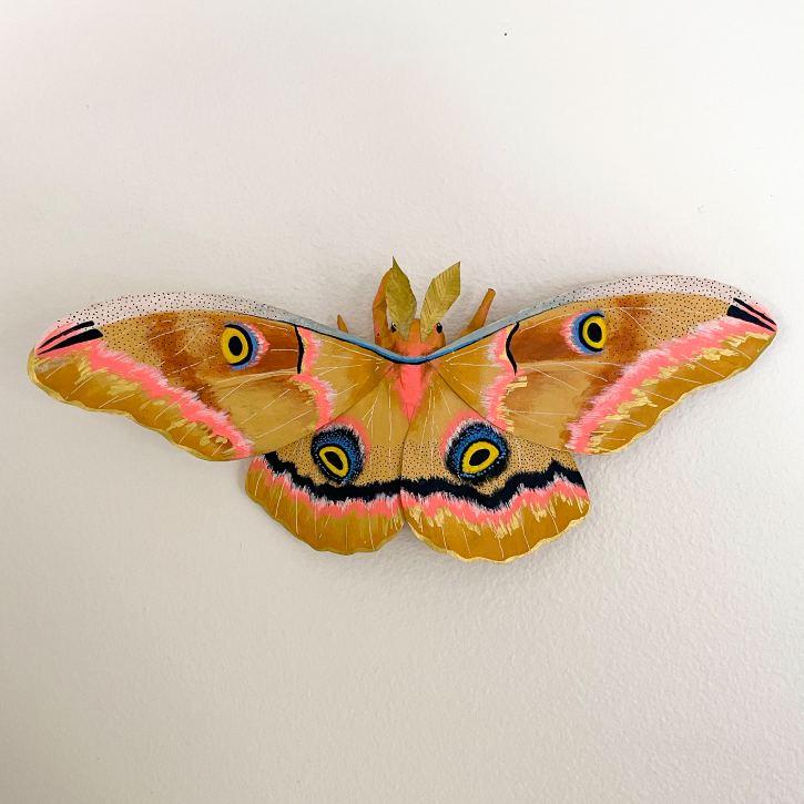Paper Mache Polyphemus Moth