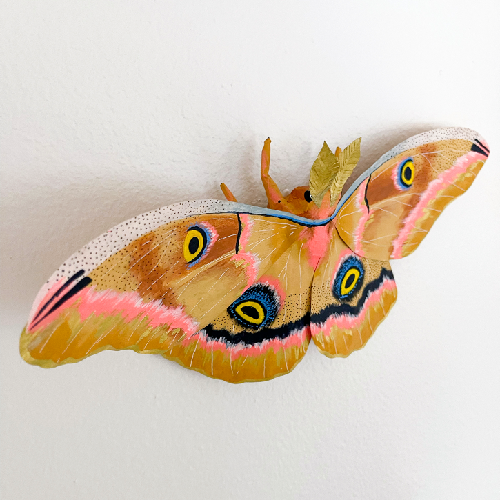 Paper Mache Polyphemus Moth, Side View